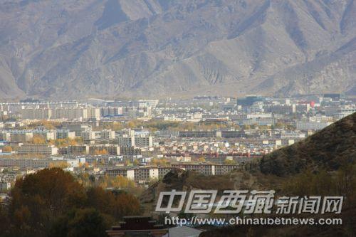 從娘熱溝高處的空地上眺望，遠(yuǎn)處成片金黃的樹(shù)林分布在城區(qū)的每個(gè)角落。