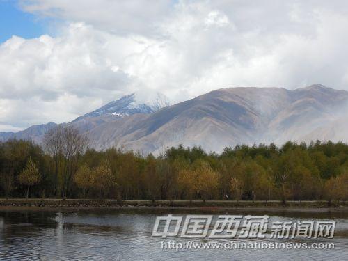 小樹林和群山襯托了池塘的美麗。