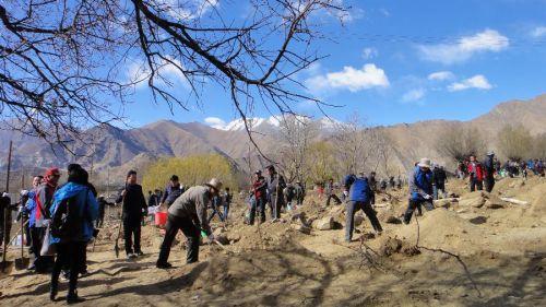 3月29日，援藏干部在拉薩市堆龍德慶縣羊達(dá)鄉(xiāng)通嘎村義務(wù)植樹。