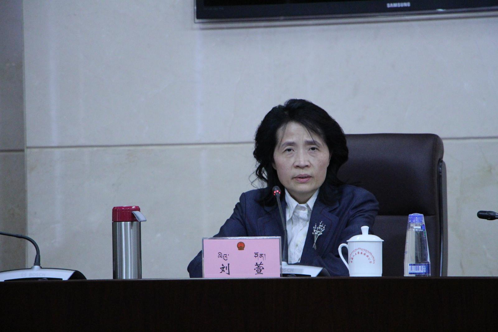 西藏自治區(qū)政府副秘書長、政府新聞發(fā)言人 劉萱.JPG