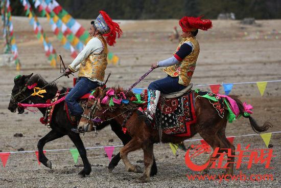 廣東省重點(diǎn)援藏項(xiàng)目——林芝魯朗國際旅游小鎮(zhèn)正式開業(yè)！_金羊網(wǎng)新聞
