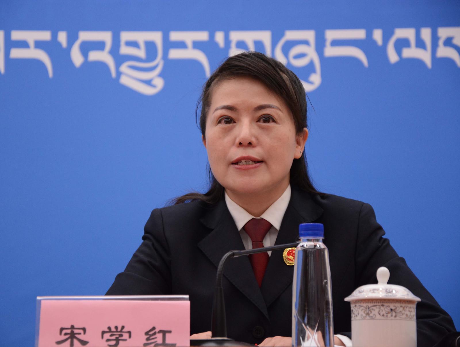新聞發(fā)言人：自治區(qū)檢察院第九檢查部副主任、四級高級檢察官 宋學(xué)紅.JPG