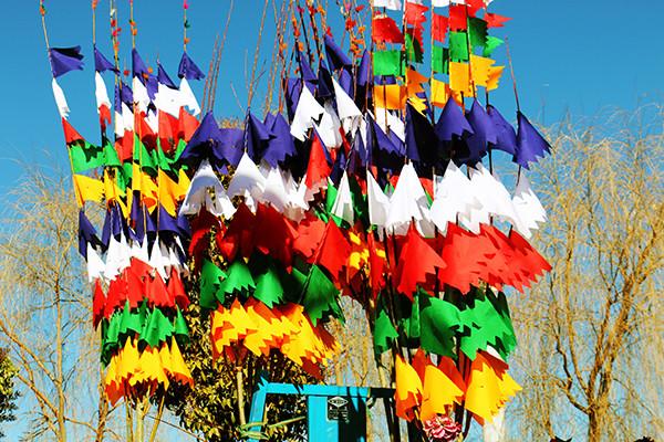 圖為：縫制好的五彩經(jīng)幡樹。曲杰  攝.jpg