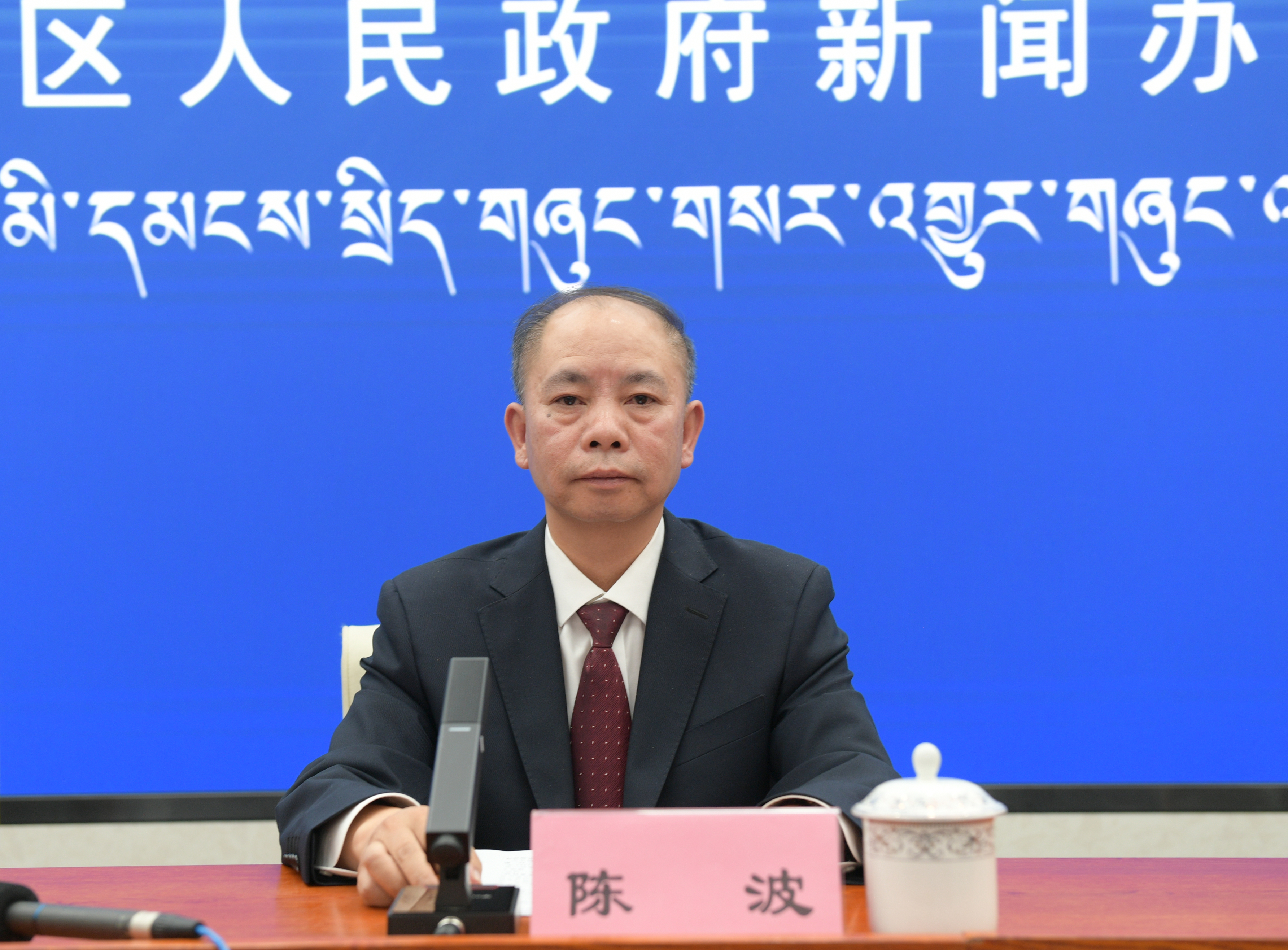 發(fā)言人：國網(wǎng)西藏電力有限公司董事、黨委副書記 陳波.jpg